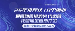 25年推荐这10个副业项目包含褂鸡类、代运营托管类、全自动打金类【揭秘】-21资源库