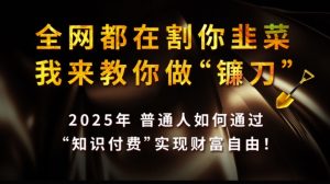 全网都在割你韭菜,我来教你做镰刀,2025普通人如何通过知识付费,实现财F自由【揭秘】-21资源库