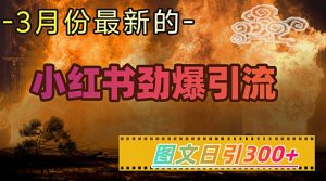 小红书超劲爆引流手段,图文日引300+轻松变现1W-21资源库