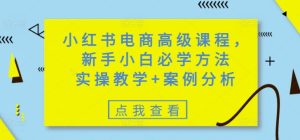 小红书电商高级课程,新手小白必学方法,实操教学+案例分析-21资源库