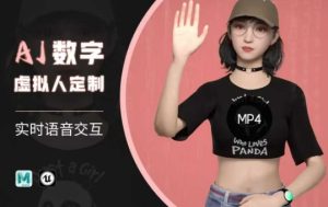Ai数字人虚拟(智能体)实时语音交互特训营，​自行定制超写实角色AI数字人交互技术-21资源库