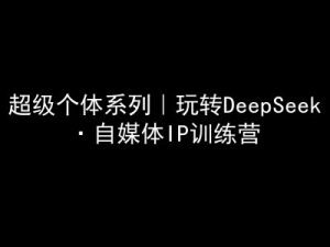 超级个体系列,玩转DeepSeek·自媒体IP训练营,deepseek教程-21资源库
