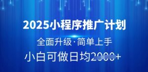 2025小程序推广计划，全面升级，简单上手，日均多张【揭秘】-21资源库