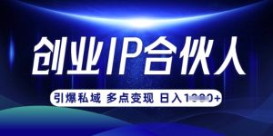 云帆·创业ip合伙人打造3.0,从0到1教你做网创,实现月入过W-21资源库