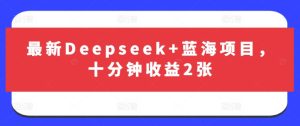 最新Deepseek+蓝海项目，十分钟收益2张-21资源库