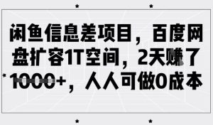 闲鱼信息差项目,百度网盘扩容1T空间,2天收益1k+,人人可做0成本-21资源库
