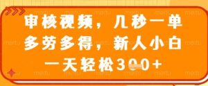 审核视频，几秒一单，多劳多得，新人小白一天轻松3张【揭秘】-21资源库