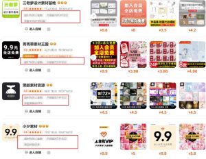 0成本虚拟项目实战手把手教你落地，单店月入5k-21资源库