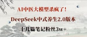 AI中医大模型杀疯了!DeepSeek中式养生2.0版本,十几篇笔记粉丝3w+-21资源库