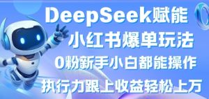 DeepSeek赋能小红书爆单玩法0粉新手小白都能操作,执行力跟上收益轻松上W,懒人勿做-21资源库