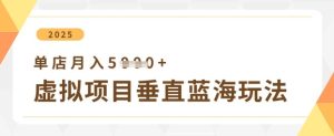虚拟项目垂直玩法,实现单店月入5k+-21资源库