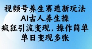 视频号养生赛道新玩法，AI古人养生操，疯狂引流变现，操作简单，单日变现多张-21资源库