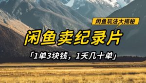 闲鱼卖纪录片1单3块钱,1天几十单,项目稳定有潜力-21资源库