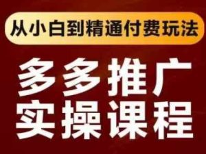 拼多多推广实操课程，从小白到精通付费玩法-21资源库