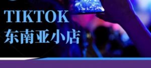 Tiktok东南亚跨境小店运营班，一门专业的TK小店运营培训课-21资源库