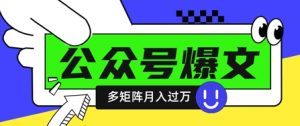 使用DeepSeek十分钟写100篇公众号爆文，多账号矩阵操作轻松月入过W-21资源库