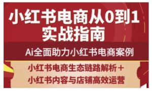 2025小红书电商全链路运营，Ai全面助力小红书电商案例-21资源库