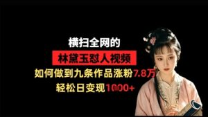横扫全网的林黛玉怼人视频，如何做到九条作品涨粉7.8万，轻松日变现1k-21资源库