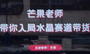 芒果老师·带你入局水晶赛道带货，助你开启水晶直播带货事业-21资源库