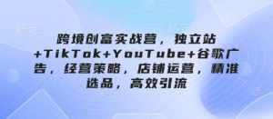 跨境创富实战营，独立站+TikTok+YouTube+谷歌广告，经营策略，店铺运营，精准选品，高效引流-21资源库