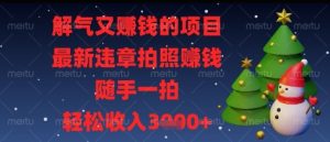 解气又挣钱的项目，最新违章拍照挣钱，随手一拍，轻松收入多张【揭秘】-21资源库