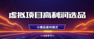 虚拟项目高利润选品方法，做好单店利润1W+，可多店倍增利润-21资源库