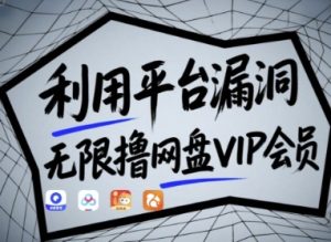 利用平台漏洞，无限撸网盘VIP会员，用户亲测有效!【漏洞原理+操作演示】-21资源库