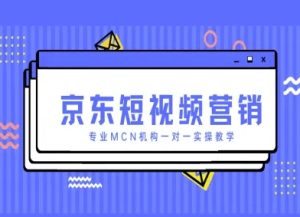 京东短视频营销项目，专业MCN机构一对一实操教学-21资源库