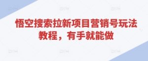 悟空搜索拉新项目营销号玩法教程，有手就能做-21资源库