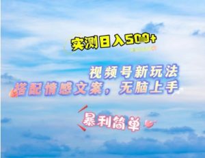 微信视频号最新玩法，表情包搭配情感文案，2分钟一条原创作品，简单好上手，轻松日入几张-21资源库