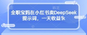 全职宝妈在小红书卖DeepSeek提示词,一天收益1k-21资源库