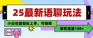25年最新语聊玩法,纯手工,单机收益100+,小白也能轻松上手,可矩阵操作-21资源库