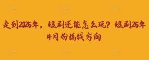走到2025年，短剧还能怎么玩？短剧25年4月份搞钱方向-21资源库