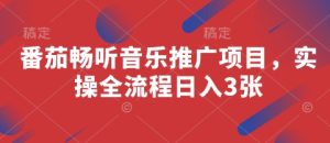 番茄畅听音乐推广项目，实操全流程日入3张-21资源库