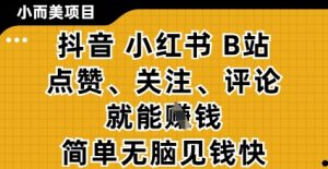小而美的项目,抖音小红书B站视频点赞、关注、评论就能挣钱,简单无脑立见收益,妥妥的零撸项目【揭秘】-21资源库