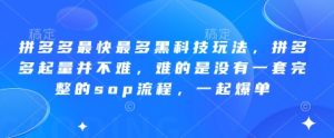 拼多多最快最多黑科技玩法,拼多多起量并不难,难的是没有一套完整的sop流程,一起爆单!-21资源库