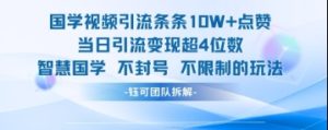 国学视频引流条条10W+点赞当日引流变现超4位数-21资源库