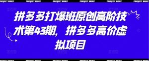 拼多多打爆班原创高阶技术第43期,拼多多高价虚拟项目-21资源库