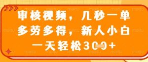 视频审核员，几秒一单，不限时间，不限地点，多做多得，新人小白一天轻松几张+【揭秘】-21资源库