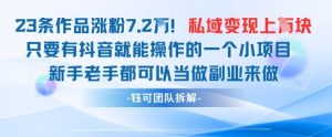 抖音私域项目23条作品涨粉7.2W，私域变现1W-21资源库