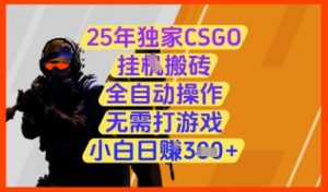 25年独家CSGO挂G搬砖，全自动操作，无需打游戏，小白日入3张+【揭秘】-21资源库