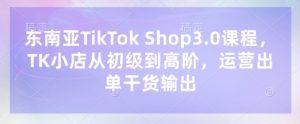 东南亚TikTok Shop3.0课程,TK小店从初级到高阶,运营出单干货输出-21资源库