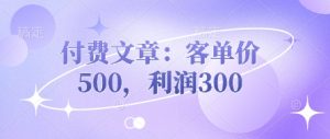 付费文章:客单价500,利润300-21资源库