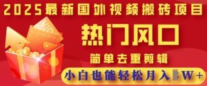 2025最新视频搬砖项目，热门风口，简单去重剪辑，小白也能轻松月入过W-21资源库