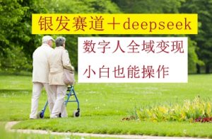 银发赛道+deepseek数字人全域变现，小白也能操作-21资源库