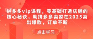 拼多多vip课程，零基础打造店铺的核心秘诀，助拼多多卖家在2025卖出爆款，订单不断-21资源库