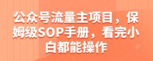 公众号流量主项目,保姆级SOP手册,看完小白都能操作-21资源库