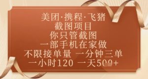 飞猪美团截图项目，你只管截图，一部手机在家做，正规平台无套路，一天5张+【揭秘】-21资源库