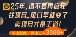 什么?25年你还在疯狂找项目做,醒醒吧,看完这些你全都懂了【揭秘】-21资源库