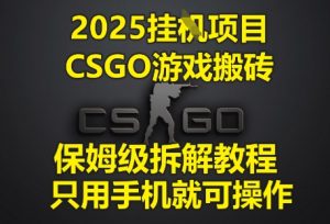 2025挂G项目，CSGO游戏搬砖，保姆级拆解教程，只用手机就可操作【揭秘】-21资源库